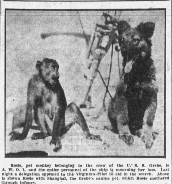 Excerpt from an article from The Virginian-Pilot with a photograph of Rosie and Shanghai.